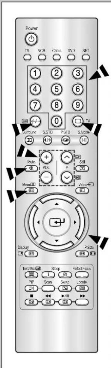 SAMSUNG SP43W6HF - Fernbedienung einsetzen - 1