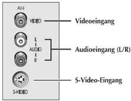 SAMSUNG SP43L2H - Anschlüsse des Fernsehers - 2