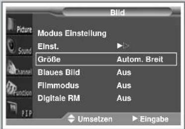 SAMSUNG SP43L2H - DEU - 1