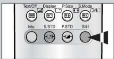 SAMSUNG SP61L2H - Aktuelles Bild einfrieren - 1