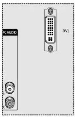 SAMSUNG SP61L2H - Geräte an den DVI-Eingang anschließen - 2