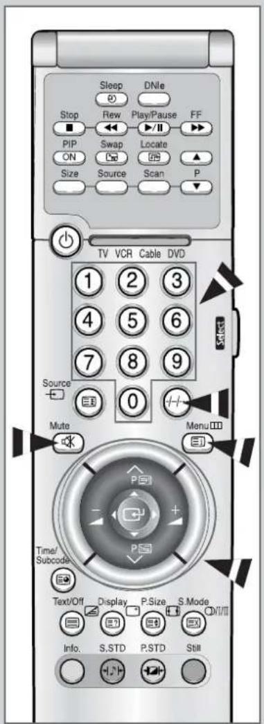 SAMSUNG SP61L2H - Fernbedienung verwenden - 1