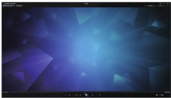 SAMSUNG DP505A2GI - Verwenden von S Player+ - 1