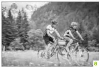 Merida Crossway 600 - MERIDA Original-Betriebsanleitung - 3
