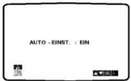 AUTO - EINST. : EIN
