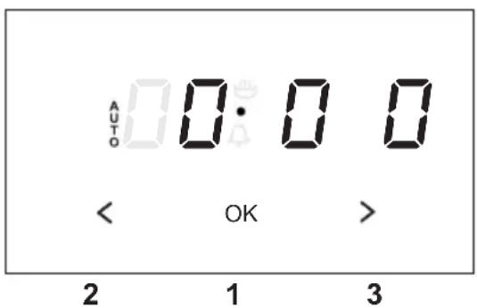 AUTO 0:00 < OK > 2 1 3