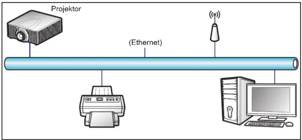 Projektor (Ethernet) ((*)