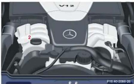 Mercedes-Benz S 430 (2001) - Checking engine oil level - 2