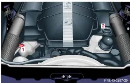 Mercedes-Benz S 430 (2001) - Checking engine oil level - 1