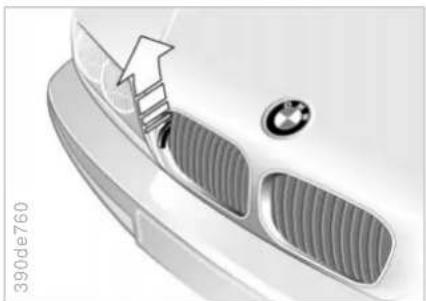 BMW 525d (2001) - Motorhaube - 2