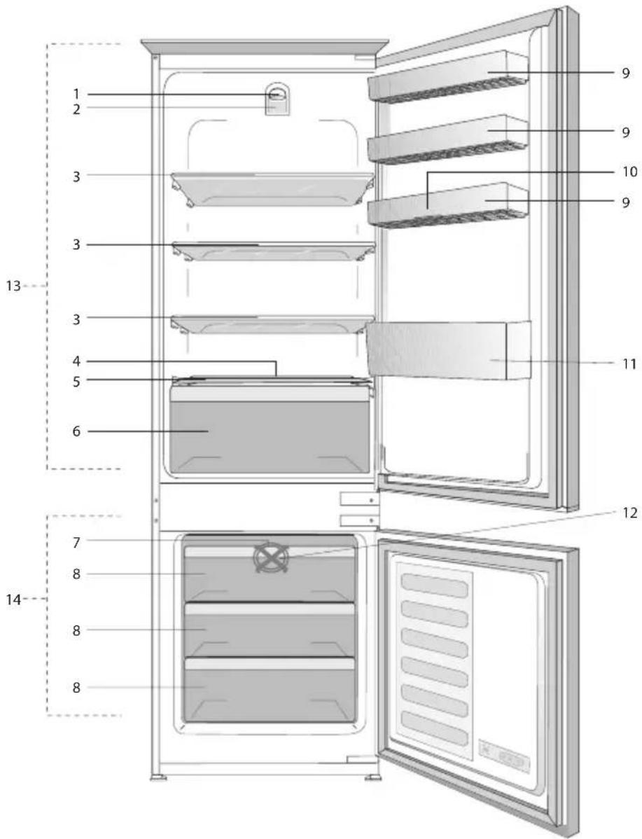 BEKO BCNA275K2F - Ihr Kühlschrank - 1
