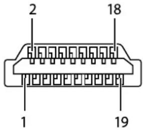 2 18 1 19