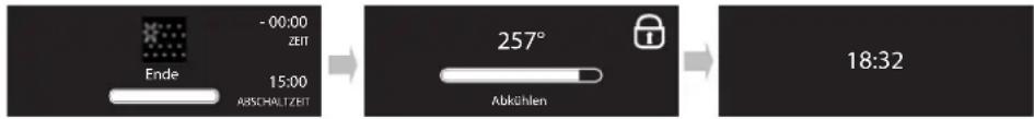 WHIRLPOOL AKZM 7610/IX - AUTOMATISCHE REINIGUNG DES OFENS - 4