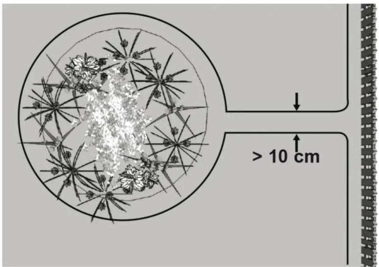 Diagram illustrating a circular structure with floral patterns and a directional arrow, annotated with distance '10 cm' and a scale bar.