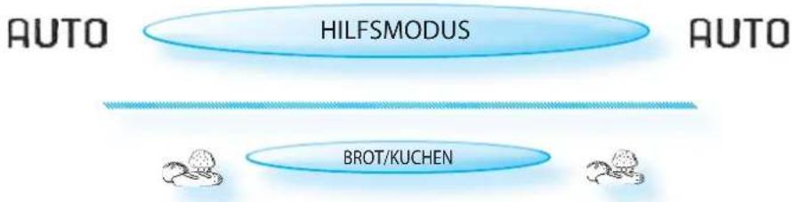 BAUKNECHT ECTM 8145/1/IXL - Mit LebensMITTELSONDE: - 37