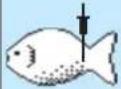 BAUKNECHT ECTM 8145/1/IXL - Mit LebensMITTELSONDE: - 14