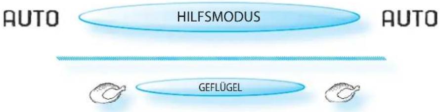 BAUKNECHT ECTM 8145/1/IXL - Mit LebensMITTELSONDE: - 8
