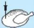 BAUKNECHT ECTM 8145/1/IXL - Mit LebensMITTELSONDE: - 9