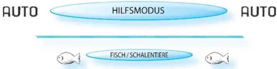 BAUKNECHT ECTM 8145/1/IXL - Mit LebensMITTELSONDE: - 13