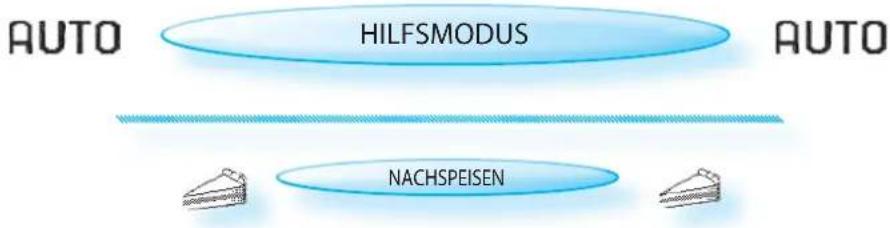 BAUKNECHT ECTM 8145/1/IXL - Mit LebensMITTELSONDE: - 32