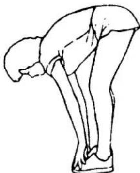 Life Gear Evoke 20296 - INNER THIGH STRETCH - 2