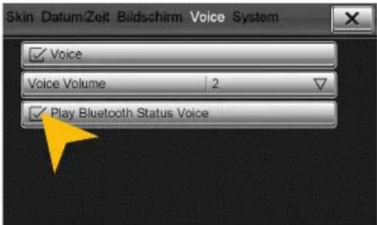 Skin Datum/Zelt Bildschirm Voice System ✓ Voice Voice Volume 2 ✓ Play Bluetooth Status Voice