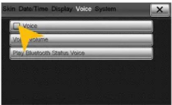 Skin Date/Time Display Voice System Voice Voice volume Play Bluetooth Status Voice
