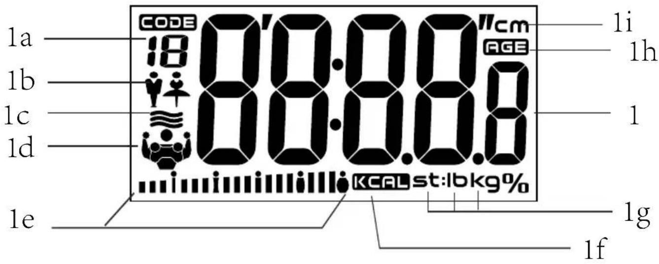 CODE 18 00:00:00 1cm AGE 1i 1h 1 1c 1d 1e KCAL st:lbkg% 1g 1f
