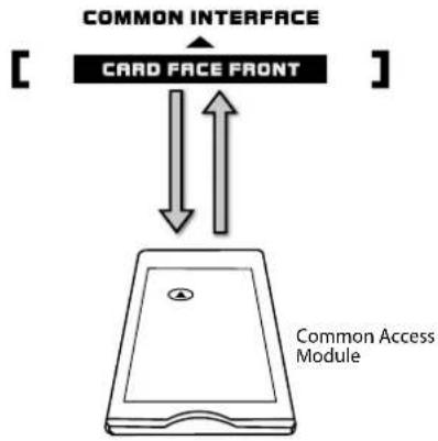 Logik L22FED13 - To view the module information - 3