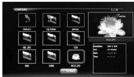 Logik L22FED13 - Listening to Music - 2