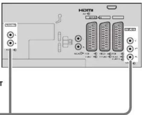 PANASONIC TX-32LXD55F - How to connect the Component Input terminals - 3