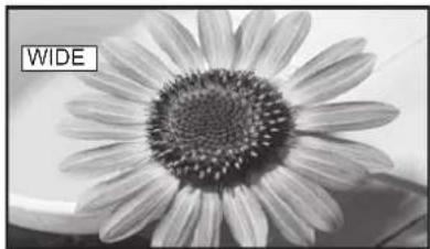 PANASONIC TX-32LXD55F - Notes: - 1
