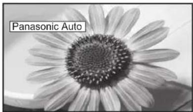 PANASONIC TX-32LXD55F - Notes: - 2