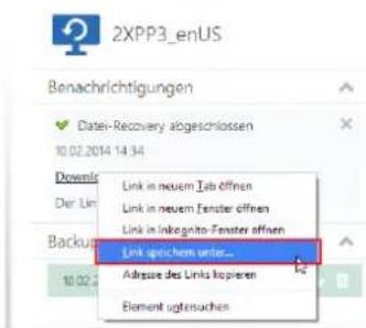 ACRONIS Backup Service for vCloud Update 3 - So stellen Sie Dateien aus einer virtuellen Maschine wieder her - 3