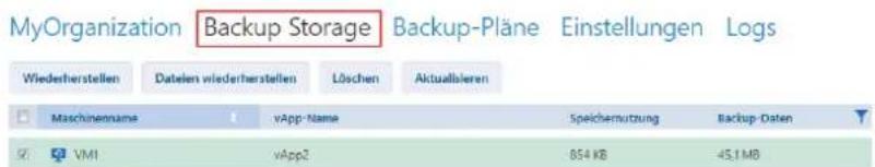 ACRONIS Backup Service for vCloud Update 3 - Das Ergebnis anzeigen - 1