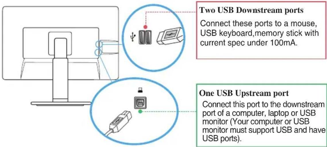 LG 27EB22PY-W - Connecting the USB(Universal Serial Bus) Cable - 1