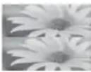 LG 50PZ755S - Wiedergabe von 3D-Material - 3
