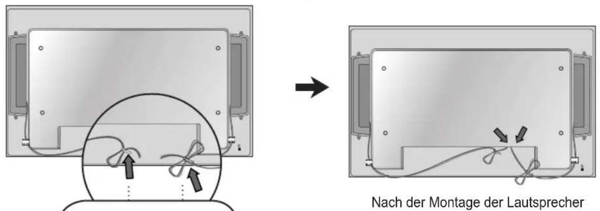 LG M4213C-BAP - Anschließen der Lautsprecher - 3