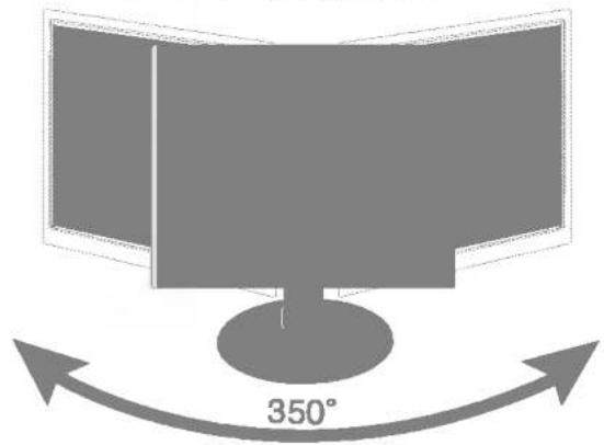 LG L1950G-SN - Positionieren des Monitors - 2