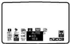 AUTO 45 16.9
