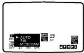 AUTO PAL MSCI-CAM 4/3 100% 90%