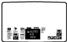 REC INT AUTO 4.3 160 Dr