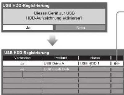 PANASONIC Viera TX-P46GQ21 - Bestätigung des USB-Festplattennamens - 5