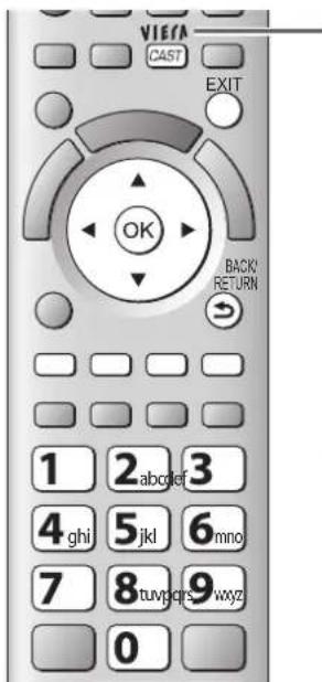 PANASONIC Viera TX-P46GQ21 - VIERA CAST™ - 1