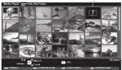 PANASONIC Viera TX-P46GQ21 - Foto-Modus - 4