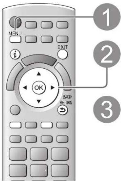 PANASONIC Viera TX-P46GQ21 - Einstellungen für die USB-Festplatte - 1