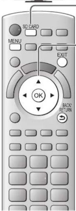 PANASONIC Viera TX-P46GQ21 - Führen Sie die SD-Karte oder den USB-Flash-Speicher ein - 1