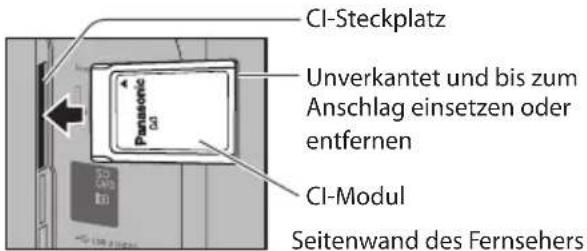 PANASONIC Viera TX-P42VT30Y - (Vorsicht) - 1