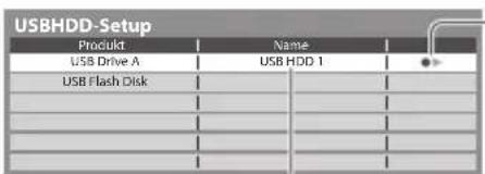 PANASONIC Viera TX-P42VT30Y - USBHDD-Formatierung - 3