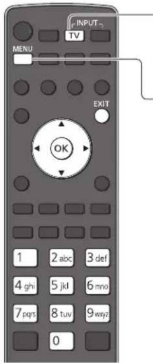 PANASONIC Viera TX-P42VT30Y - Start Auto Setup (Die Einstellungen werden automatisch vorgenommen) - 4